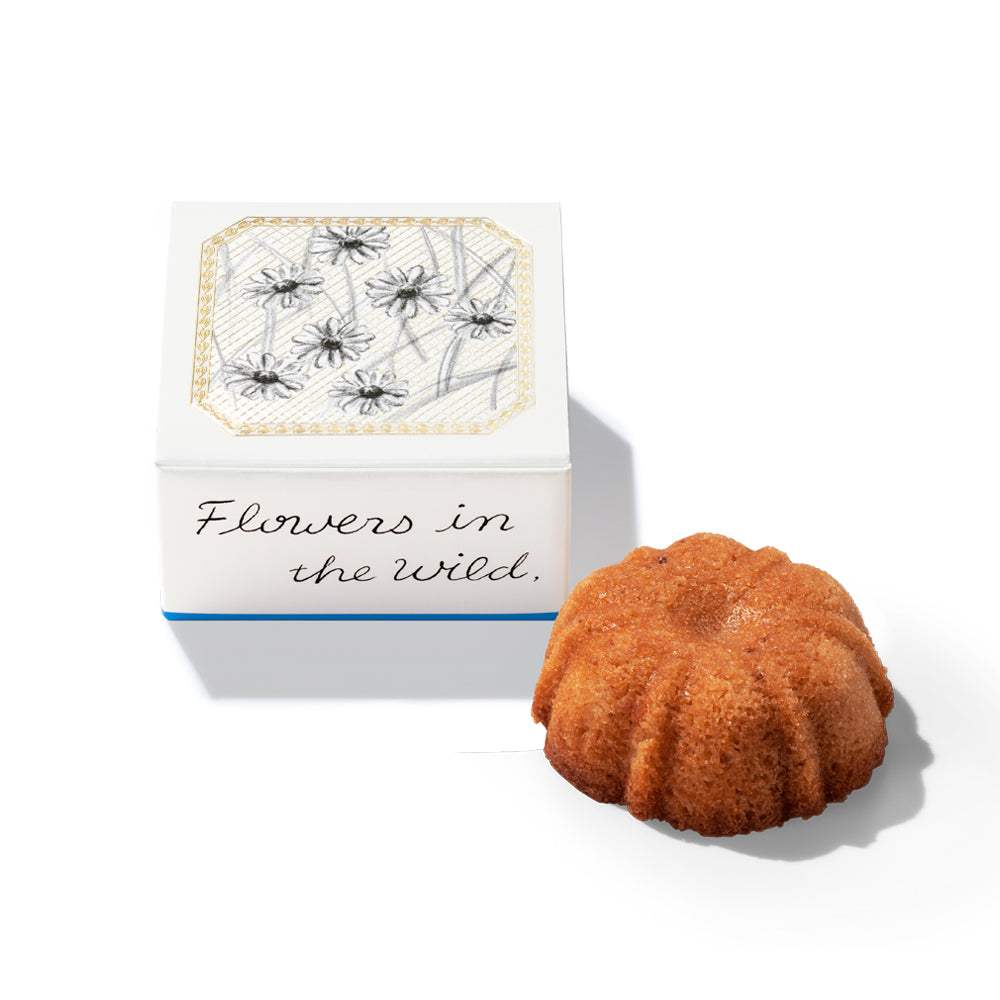 ルルガトー あまおう苺